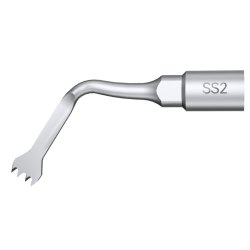 SS2 Piezo - DTE Woodpecker