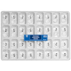 Posterior Transparent Crowns